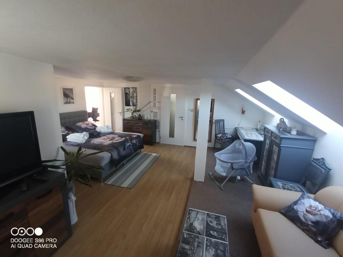 Podkrovni Apartman Tereza Apartment Rumburk Bagian luar foto