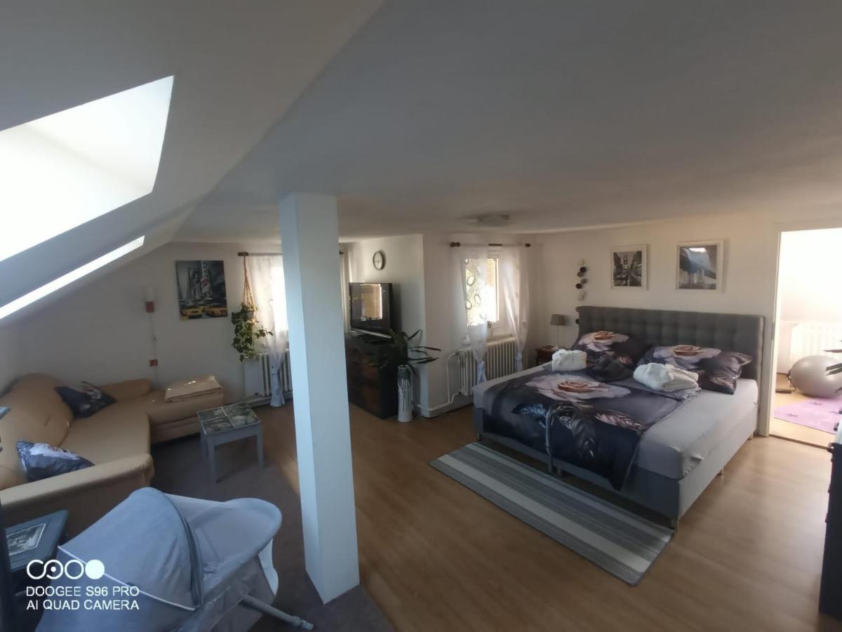 Podkrovni Apartman Tereza Apartment Rumburk Bagian luar foto