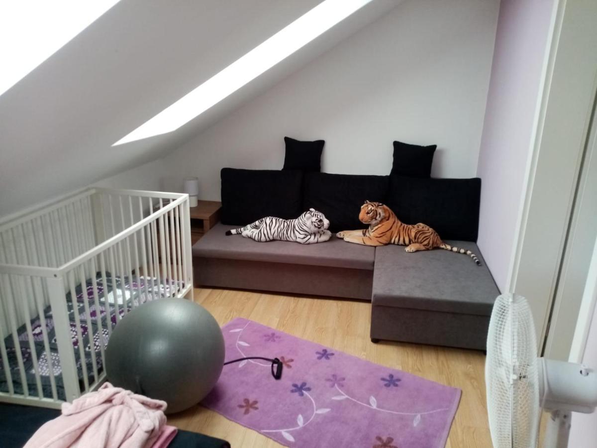 Podkrovni Apartman Tereza Apartment Rumburk Bagian luar foto