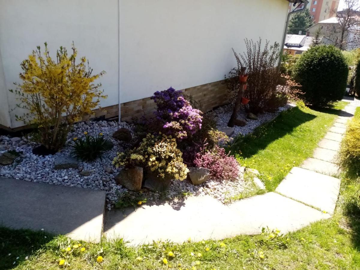 Podkrovni Apartman Tereza Apartment Rumburk Bagian luar foto